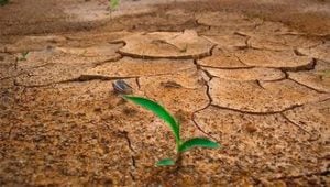 La responsabilidad política en el colapso de nuestro planeta