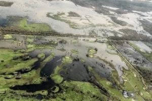 Recuento de los estragos de María en la montaña
