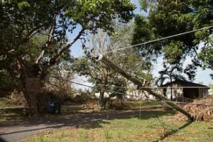 Sin servicio eléctrico hasta marzo