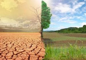 El tiempo de nuestra liberación