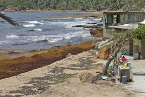 Yabucoa: La cruda realidad de ser lo último
