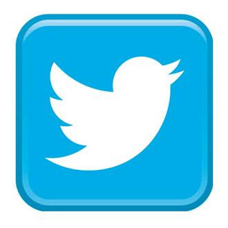 twitter-birdw_lg.jpg