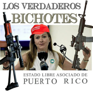 Invitación entusiasta a la página Memes Radicales para Isleños Despreciados por Boomers (Grupo Público en Facebook administrada por el bardo Rubén Ramos Colón)