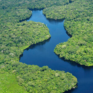 Somos todos Amazonia para la vida del planeta