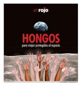 Hongos para viajar protegidos al espacio