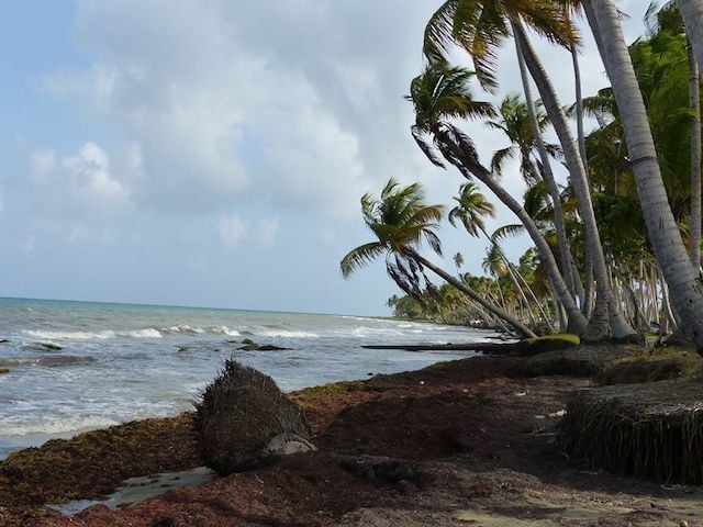 98030143_10158642073866209_1824690523261108224_o