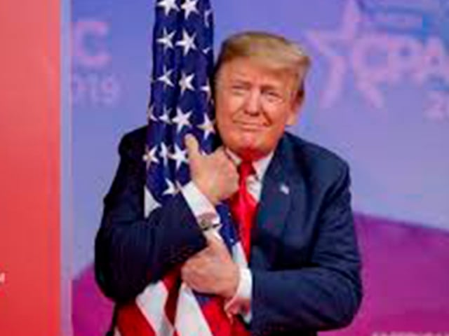 P29 tomada de cbc.ca