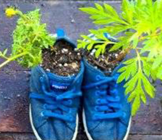 P22 tomada de elcalce.com