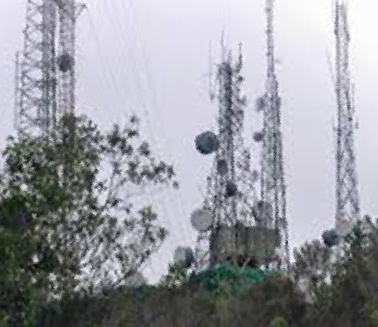 P23 tomado de laislaoeste.com