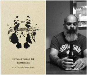 La poesía secreta de Puerto Rico