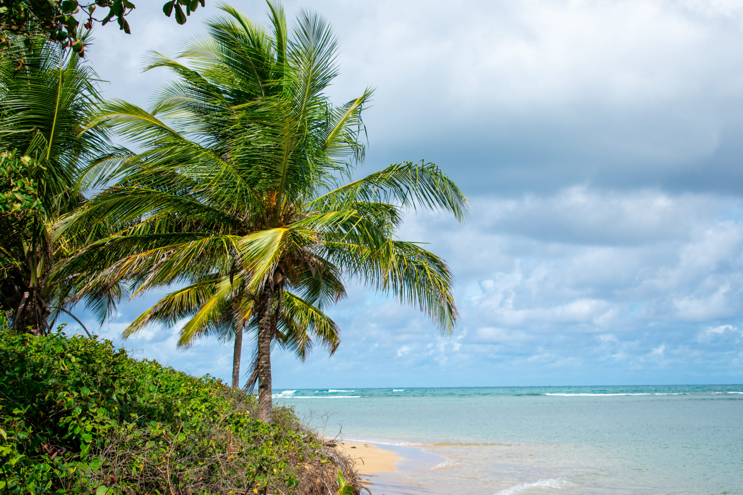 Luquillo una historia repetida Claridad