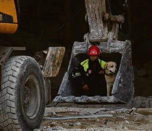 Hotel Saratoga: Los perros rescatistas y la esperanza de escucharlos ladrar