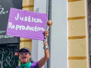 Será otra cosa:  Nuestros cuerpos, nuestras vidas, todavía