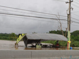 Foto por Vicente Vélez
