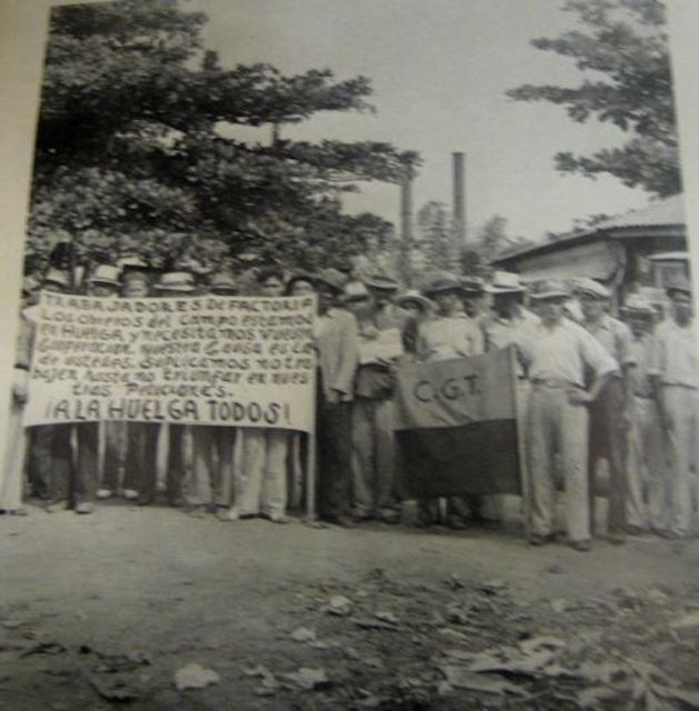 08100102_FU87HO56ED40