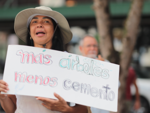 Ley de Legitimación Activa Ambiental: crucial para la defensa del ambiente y el acceso del pueblo a la justicia