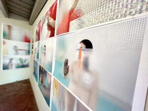 Fotos por Tari Beroski