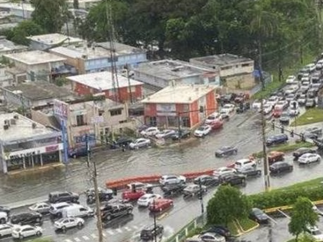 PDesenfoque Impperdonabler 3642