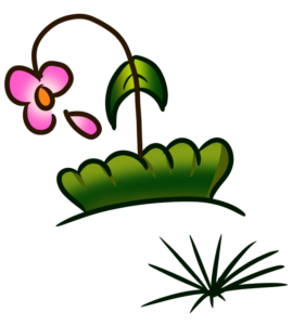 DIAS