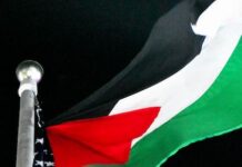 Tras la tregua en Gaza: ¿ habrá futuro para la paz?