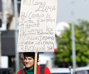 EL PIP y la privatización de la energía