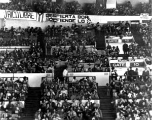 Puerto Rico en el Madison Square Garden (1974 y 2024): 50 años desde dos mundos distintos 