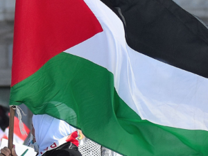 Voces por Palestina rechazan visión de Trump para Gaza