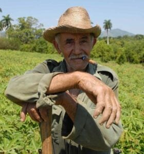 René Depestre, Poeta en Cuba