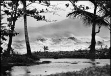 para morir en la orilla (fragmentos)