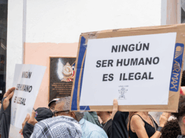 Foto por Melvin Aponte/ Especial para CLARIDAD
