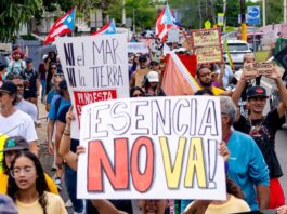 El Proyecto Esencia: crecimiento económico o corrupción ambiental