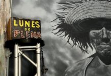 Los fragmentos compartidos de un boricua