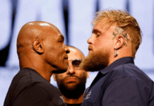 Intempestiva con espectáculo y box