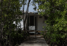 El PC 310 permite la violación de leyes y reglamentos a los desarrolladores