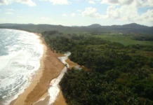 PC 862 proyecto que pone en peligro zonas protegidas del Corredor del Este