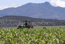 De la inseguridad a la autosuficiencia agrícola