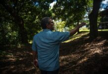 Pleitos legales en la Fundación Rigoberto Figueroa Figueroa