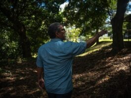 Pleitos legales en la Fundación Rigoberto Figueroa Figueroa