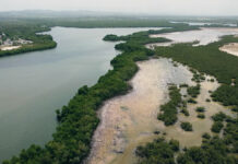 Pa’ la calle contra Esencia