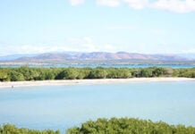 Sobre la Insistencia y la poesía*.