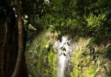 Nadie a atiende a los vecinos de Moncayo