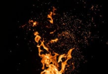 Intempestiva con flama