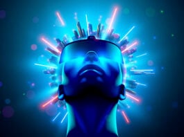 El desarrollo del capital sexual en el ciberespacio pornográfico