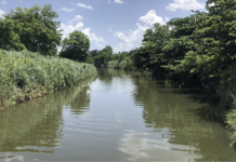 Llamado a detener canalización del río Piedras