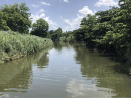 Llamado a detener canalización del río Piedras