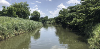 Llamado a detener canalización del río Piedras