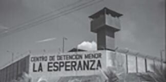 ¿Un modelo autoritario para Puerto Rico?