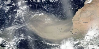 El Polvo del Sahara no es solo «arena»: Una llamada a la acción por nuestra salud respiratoria