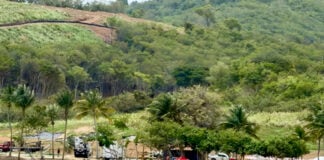Beca de $5,000 para estudiantes que justifiquen Moncayo