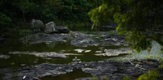AAA pagó $50 millones a empresas para resolver la pérdida de agua y el problema ha empeorado